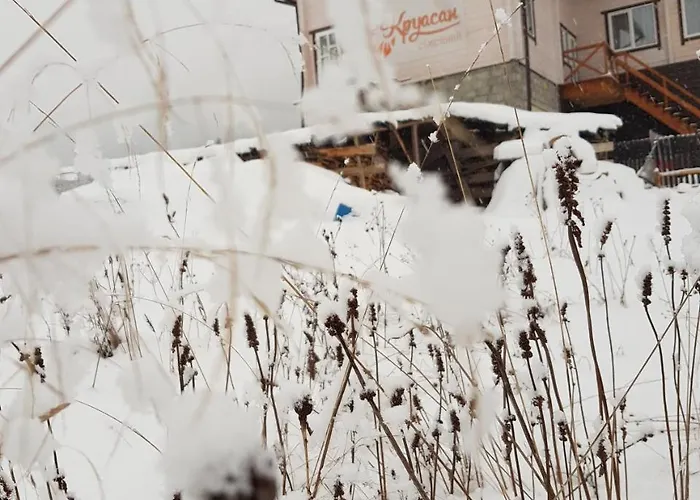 круасан сімейний 3* Bukovel