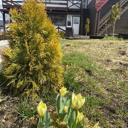 Gasthof круасан сімейний